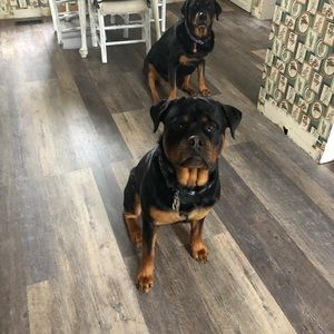 Meet your Posher, Deborah